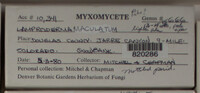 Image Associated With the Occurence